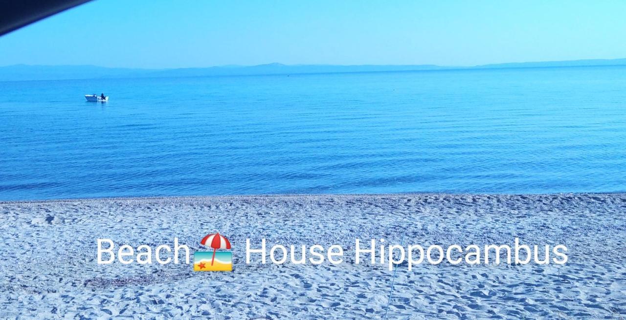Hippocampus Beach House Polychrono Exterior photo
